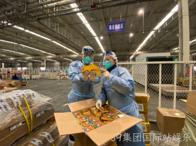 侵权宝可梦、孩之宝，一大批玩具被海关扣了
